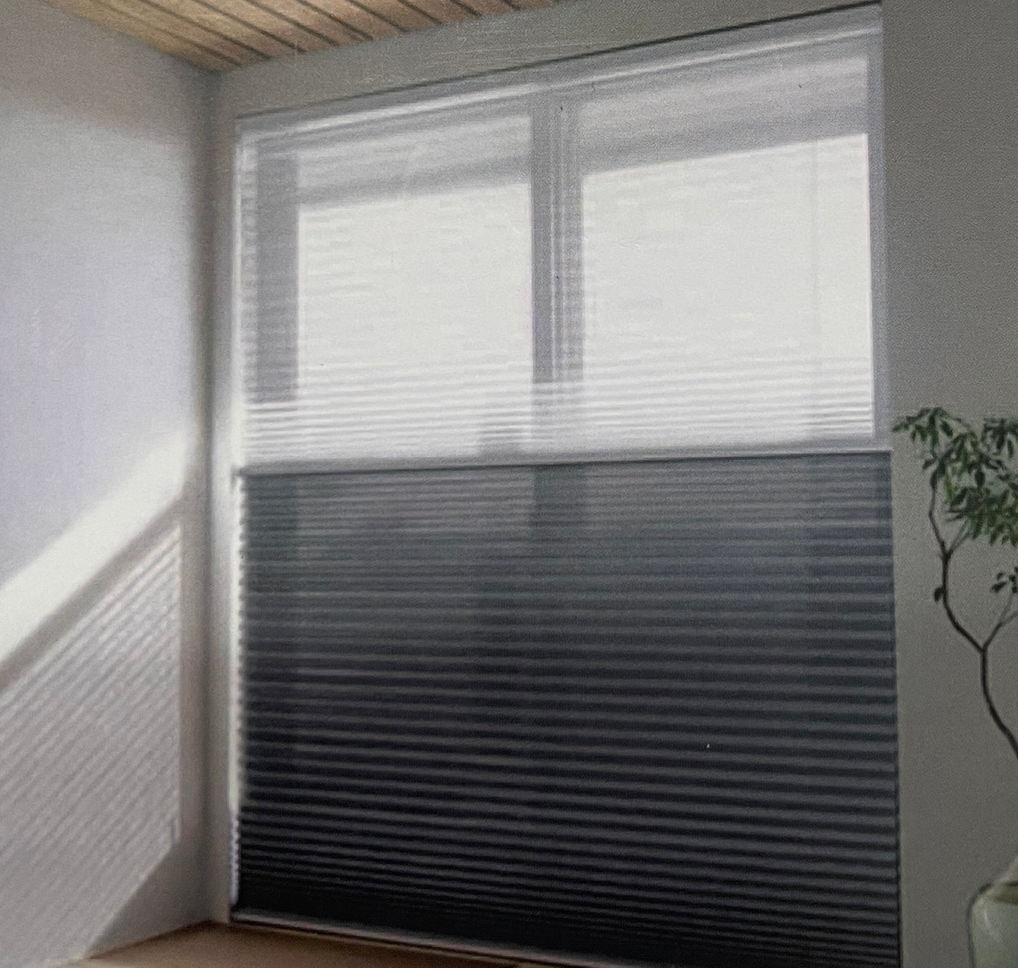 Honey Comb Blinds