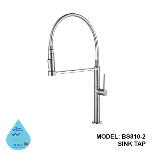 BS 810 SS