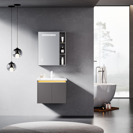 Stainless Steel Bathroom Cabinet BC102